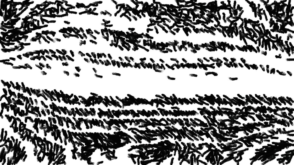 Image '4.0 A collection sketching 1 6'.