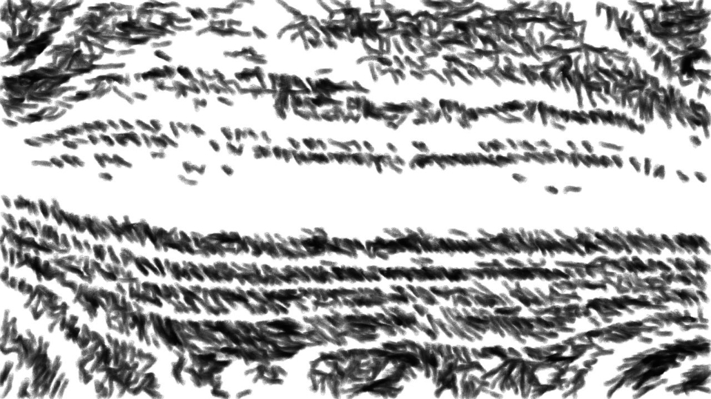 Image '4.0 A collection sketching 1 7'.