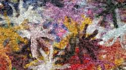 Seventh of 'reflets — paint synthesiser classic — 2.0 collection soft 1'.
