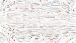 First of '4.0 A collection soft 1'.