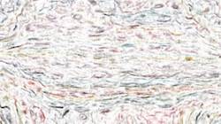 Fourth of 'reflets — paint synthesiser classic — 2.0 collection soft 4'.