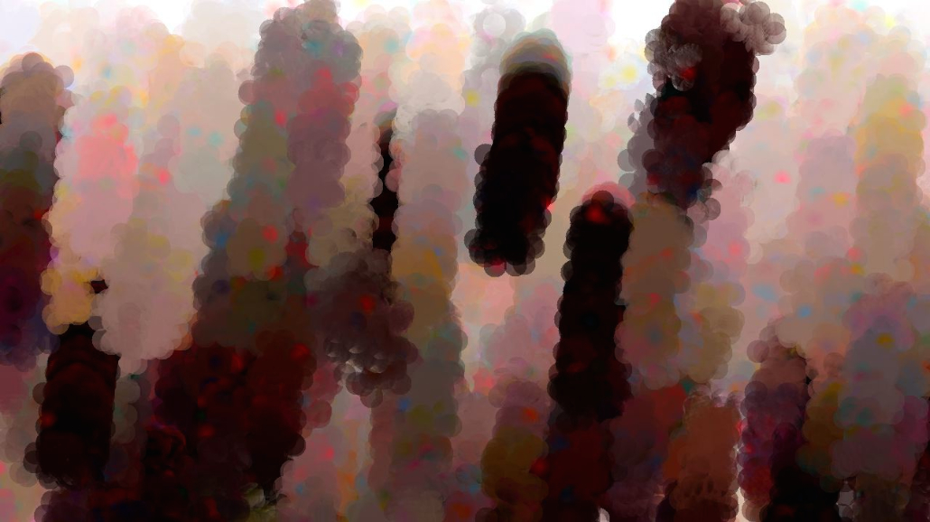 image: an image