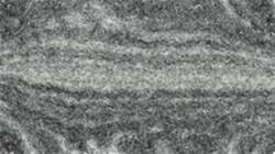First of 'reflets — paint synthesiser classic — default soft styles 1'.