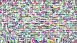 Second of '4.0 A collection source cloner 1'.