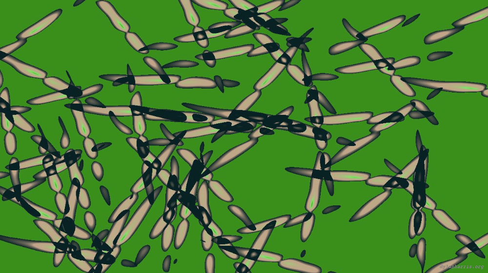 Image 'reflets — msg — variations 1 splotches 1 1'.