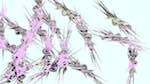 Second of 'reflets — msg — variations 1 splotches 2'.
