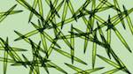 Fifth of 'reflets — msg — variations 1 splotches 3'.