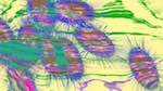 Seventh of 'reflets — msg — variations 1 splotches 3'.