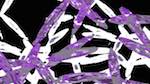 First of 'reflets — msg — variations 1 splotches 4'.