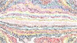 Fifth of 'reflets — paint synthesiser classic — paint styles sponges 1'.