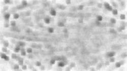 Eighth of 'reflets — paint synthesiser classic — default spread canvas 1'.