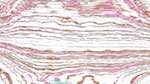 Second of 'reflets — msg — processing effects 1 source efx 0 1'.