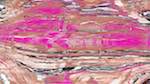Fifth of 'reflets — msg — processing effects 1 source efx 0 2'.