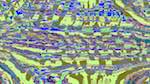 Seventh of 'reflets — msg — processing effects 1 source efx 1 4'.