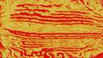 Fourth of 'reflets — msg — processing effects 1 source efx 2 4'.