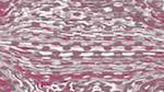 Fourth of 'reflets — msg — processing effects 1 source grid'.