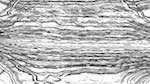 Fifth of 'reflets — msg — processing effects 1 source process 2 1'.