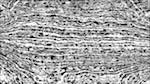 Fifth of 'reflets — paint action sequence — src processing 1'.