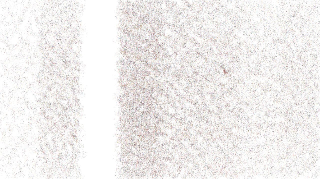 image: an image
