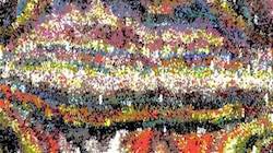 image: an image