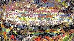 image: an image