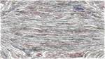 First of 'reflets — paint action sequence — skylistic 1'.