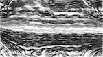 Sixth of 'reflets — paint synthesiser classic — wacom tablet demo 1'.