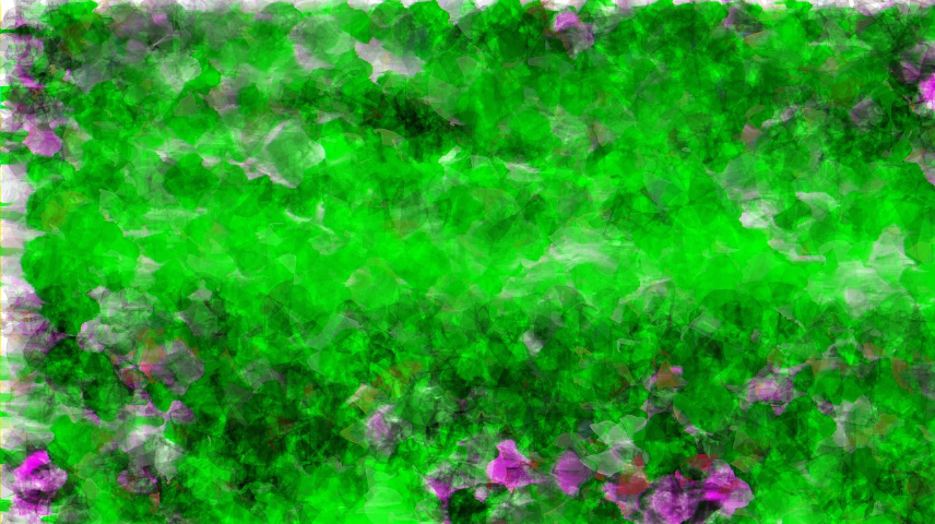 Image '4.0 B collection test 2 2 5'.
