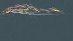 Sixth of 'reflets — dualmode paint — default test 2 2'.