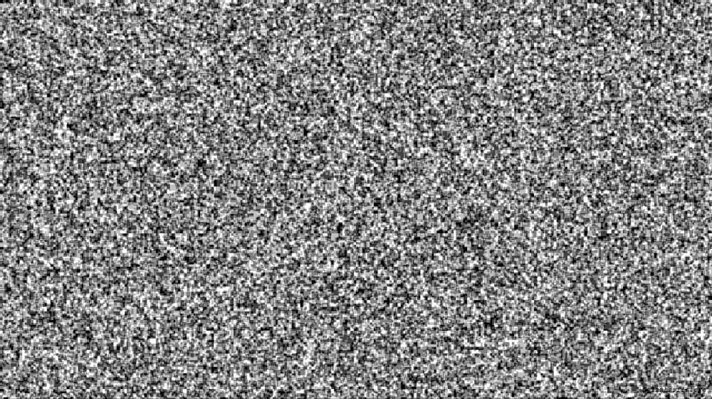 image: an image