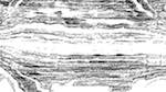 Second of 'reflets — paint action sequence — text render'.