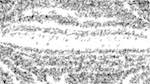 Fourth of 'reflets — paint action sequence — text render'.