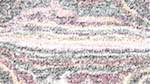 Sixth of 'reflets — paint action sequence — text render'.