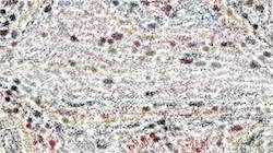 Fifth of 'reflets — paint synthesiser classic — 2.0 collection texture strokes 1'.