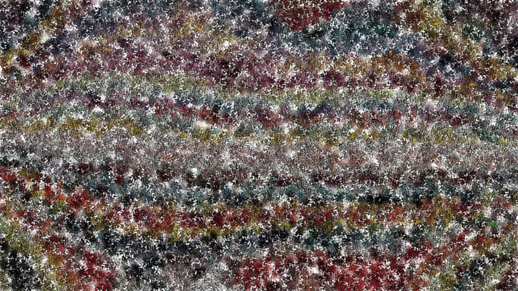 image: an image