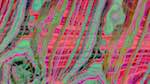 Second of 'reflets — dualmode paint — default time particle 2 1'.