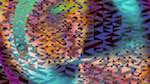 Fifth of 'reflets — msg — abstract 1 truchet 1'.