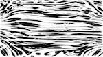 First of 'reflets — paint action sequence — vector efx 1'.