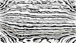 Fourth of 'reflets — paint action sequence — vern pas 2 1'.