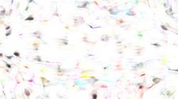image: an image