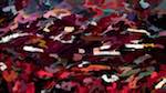 First of 'reflets — dualmode paint — default warp test 1'.