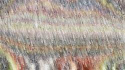 Eighth of 'reflets — paint synthesiser classic — 4.0 collection watercolour 6'.