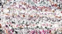 image: an image