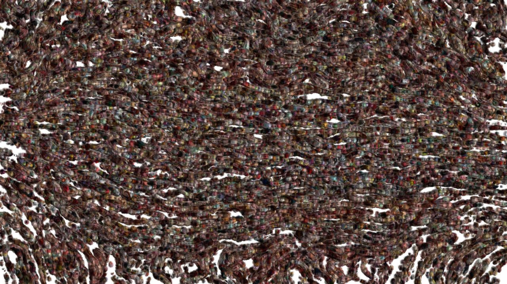 image: an image