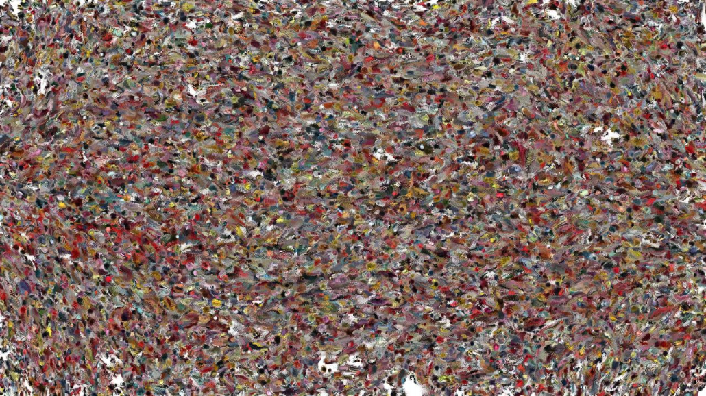 image: an image