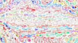 Sixth of 'reflets — paint synthesiser classic — paint styles wet 1'.