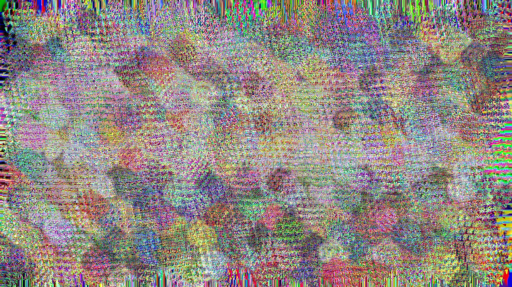 image: an image