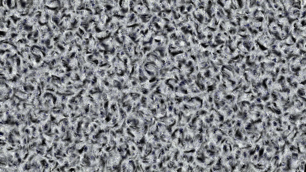 image: an image