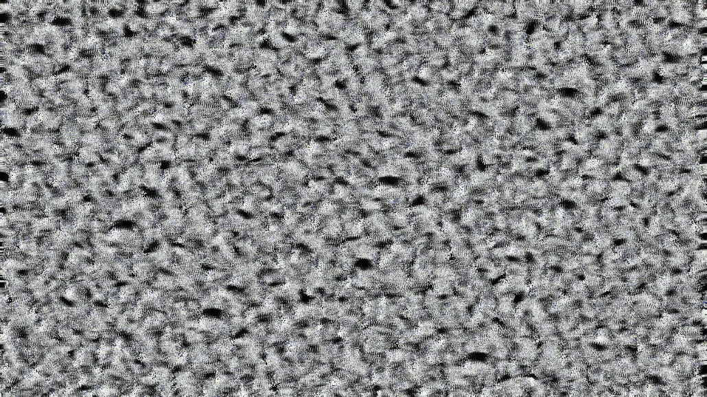 image: an image