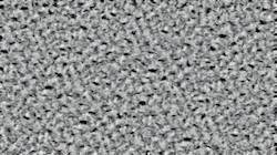 image: an image